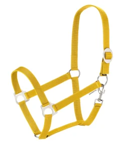 Licol en nylon à prix cassé