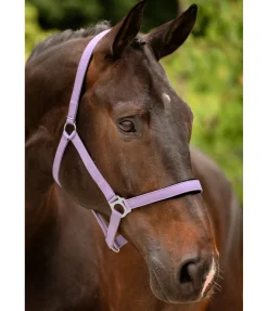 Licol en nylon à prix cassé II