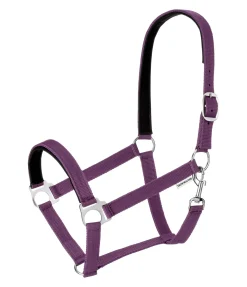 Licol en nylon à prix cassé II