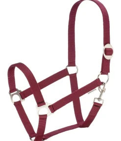 Licol en nylon à prix cassé