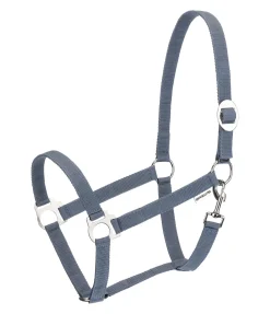 Licol en nylon à prix cassé