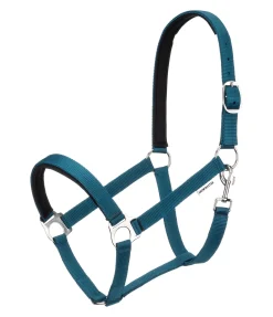 Licol en nylon à prix cassé II