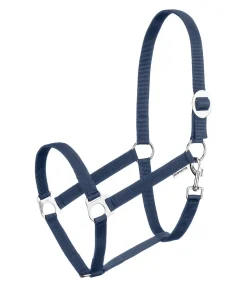 Licol en nylon à prix cassé