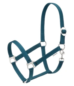 Licol en nylon à prix cassé