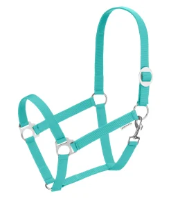 Licol en nylon à prix cassé