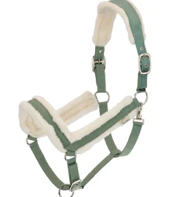 Licol en polaire Teddy Anatomical Relaxation