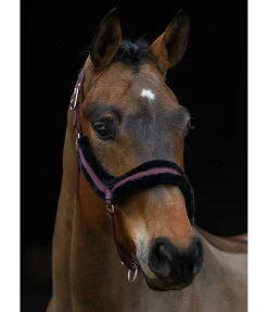 Licol en polaire Teddy Anatomical Relaxation