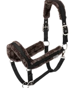 Licol en polaire Teddy Anatomical Relaxation