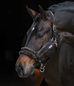 Licol en polaire Teddy Anatomical Relaxation