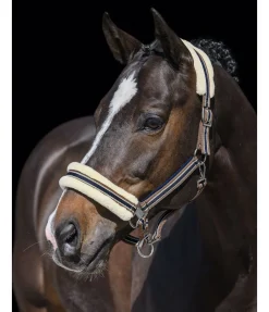 Licol en polaire Teddy Essential II