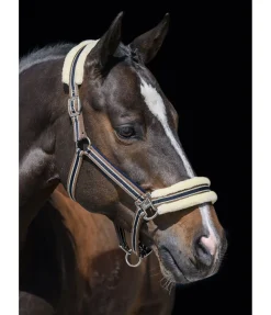 Licol en polaire Teddy Essential II