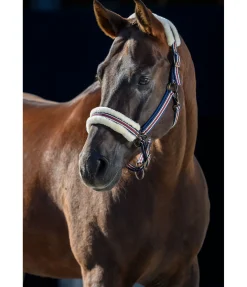 Licol en polaire Teddy Essential II