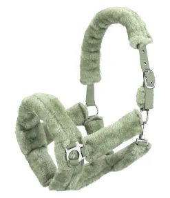 Licol en polaire Teddy Protection