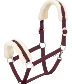 Licol en polaire Teddy à prix cassé III