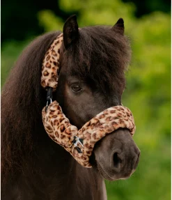 Licol en polaire Teddy Protection