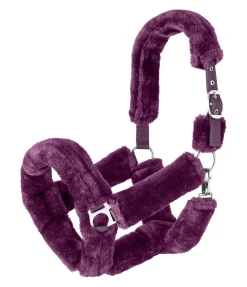 Licol en polaire Teddy Protection