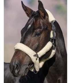 Licol en polaire Teddy Protection