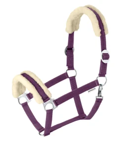 Licol en polaire Teddy à prix cassé III