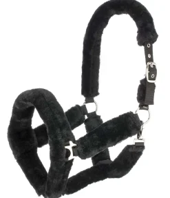 Licol en polaire Teddy Protection