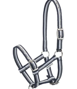 Licol poulain Darling