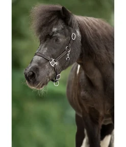 Licol poulain en cuir Classic