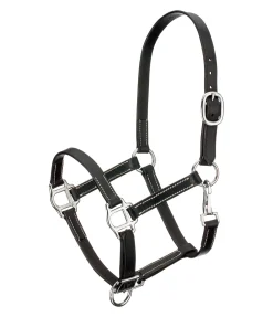 Licol poulain en cuir Classic