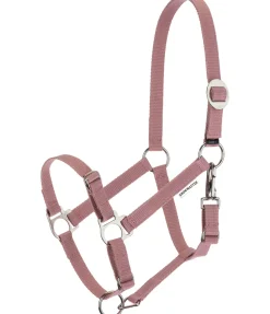 Licol poulain et shetland Grow With You