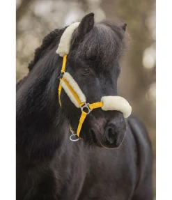 Licol poulain et shetland en polaire Teddy Cozy Adjustable