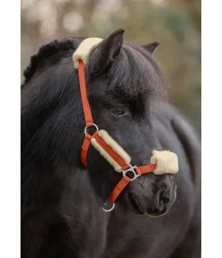 Licol poulain et shetland en polaire Teddy Cozy Adjustable