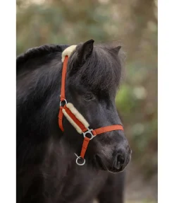Licol poulain et shetland en polaire Teddy Cozy Adjustable