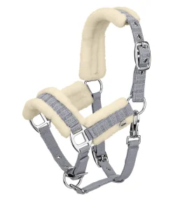 Licol pour poulain et shetland Shine