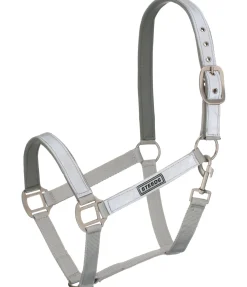 Licol réfléchissant Shiny