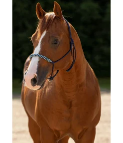 Licol sans noeuds Bonny