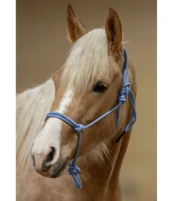 Licol éthologique Bo