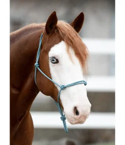 Licol éthologique Bo