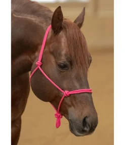 Licol éthologique Bo