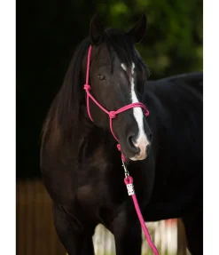 Licol éthologique Bo