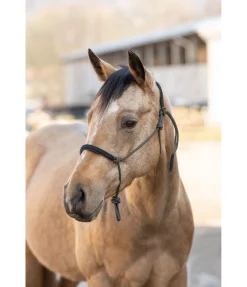 Licol éthologique Cuero