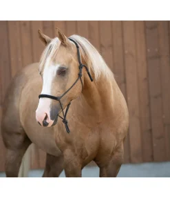 Licol éthologique Cuero