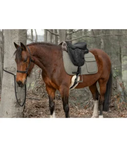 Longe de randonnée 2 en1 Pinewood