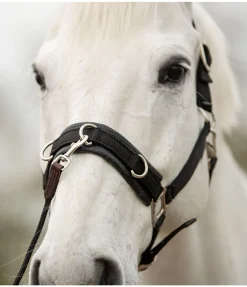 Longe de travail courte