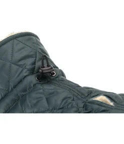 Manteau avec doublure en polaire Teddy pour chien Archie, 160 g