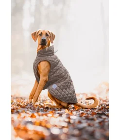 Manteau avec doublure en polaire Teddy pour chien Archie, 160 g