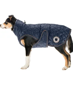 Manteau avec doublure en polaire Teddy pour chien Archie, 160 g