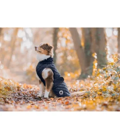 Manteau avec doublure en polaire Teddy pour chien Archie, 160 g