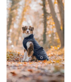 Manteau avec doublure en polaire Teddy pour chien Archie, 160 g