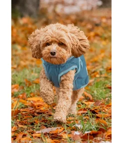 Manteau de pluie pour chien Eldoro II avec doublure intérieure en polaire, 0g