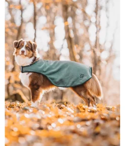 Manteau de pluie pour chien Eldoro II avec doublure intérieure en polaire, 0g