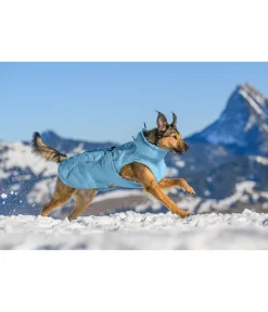 Manteau d'hiver pour chien Wonderland, 140 g