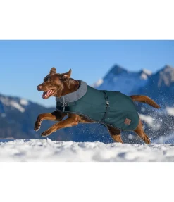 Manteau d'hiver pour chien avec doublure en fourrure Teddy Gizmo, 200 g